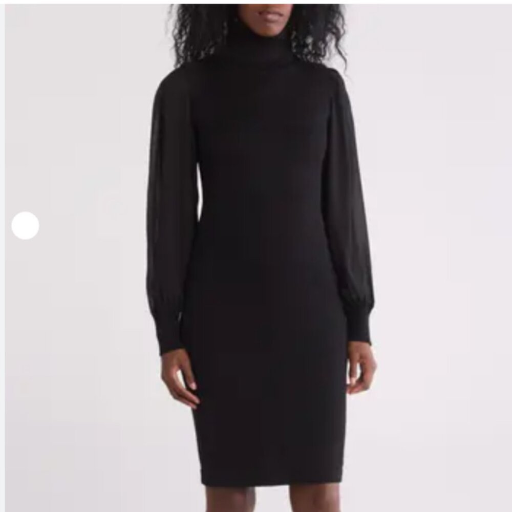 Turtleneck Chiffon Sleeve Sheath Dress